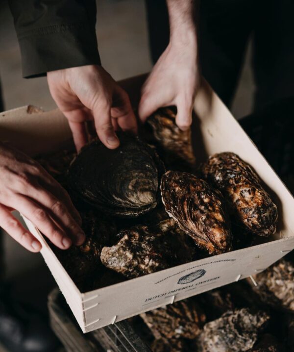 Dutch Imperial Oesters – Premium oesters met een volle, romige smaak en verfijnde ziltigheid, verkrijgbaar bij De Oester Boetiek