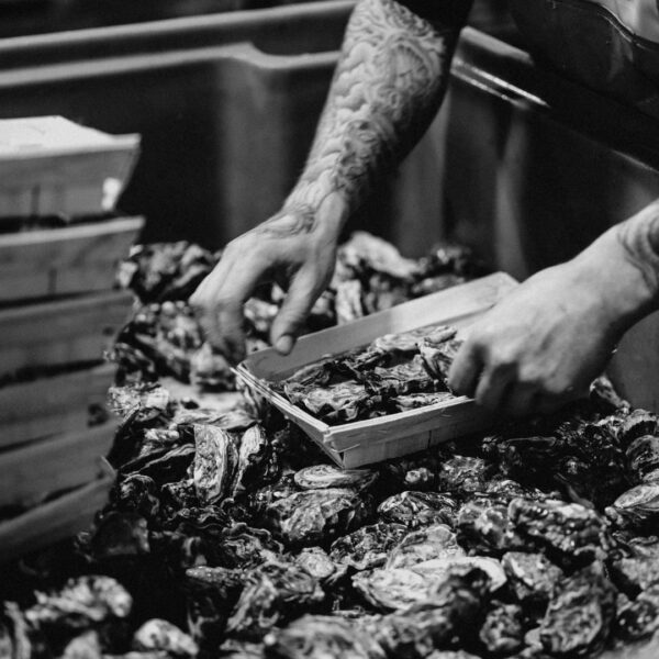 Dutch Imperial Oesters – Premium oesters met een volle, romige smaak en verfijnde ziltigheid, verkrijgbaar bij De Oester Boetiek