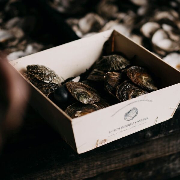 Dutch Imperial Oesters – Premium oesters met een volle, romige smaak en verfijnde ziltigheid, verkrijgbaar bij De Oester Boetiek