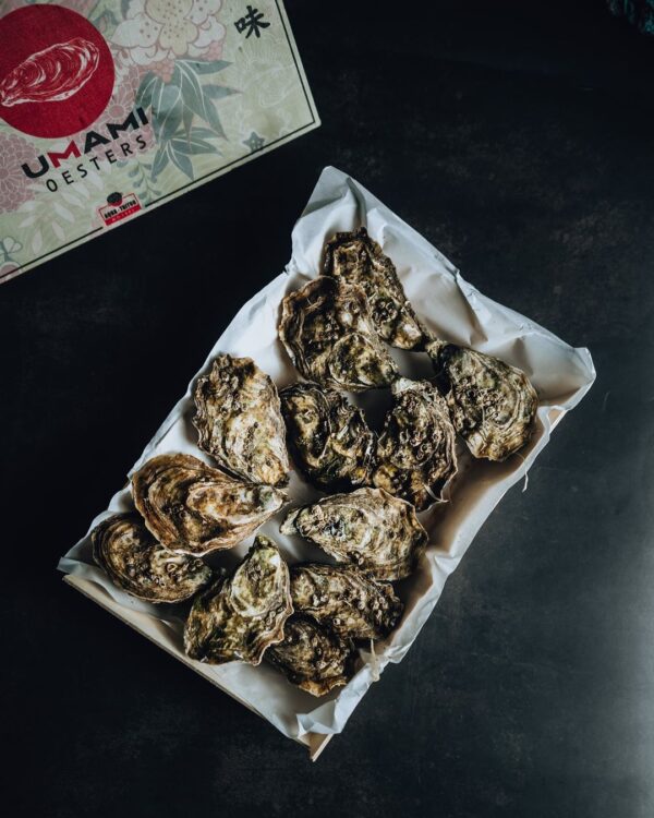 Umami Oesters – Exclusieve oesters met een volle, ziltige en romige umami-smaak, verkrijgbaar bij De Oester Boetiek voor een verfijnde culinaire beleving