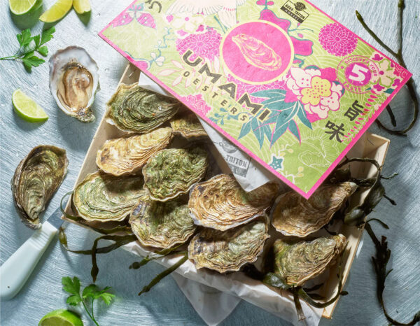 Umami Oesters – Exclusieve oesters met een volle, ziltige en romige umami-smaak, verkrijgbaar bij De Oester Boetiek voor een verfijnde culinaire beleving