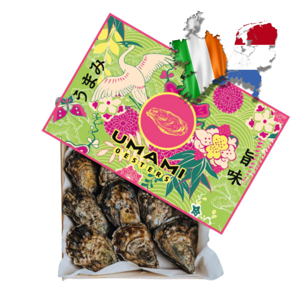 Umami Oesters – Exclusieve oesters met een volle, ziltige en romige umami-smaak, verkrijgbaar bij De Oester Boetiek voor een verfijnde culinaire beleving