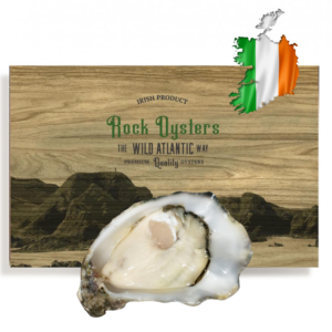 Rock Oysters Wild Atlantic Way – Verse, smaakvolle oesters uit de Atlantische Oceaan, verkrijgbaar bij De Oester Boetiek