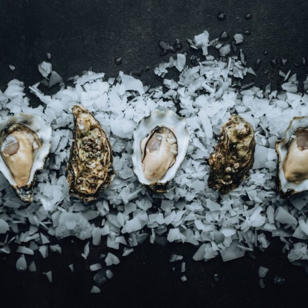 Umami Oesters – Exclusieve oesters met een volle, ziltige en romige umami-smaak, verkrijgbaar bij De Oester Boetiek voor een verfijnde culinaire beleving